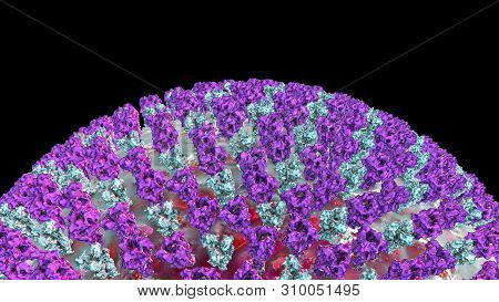 Measles Virus, Closeup View. 3d Illustration Showing Structure Of Measles Virus With Surface Glycopr