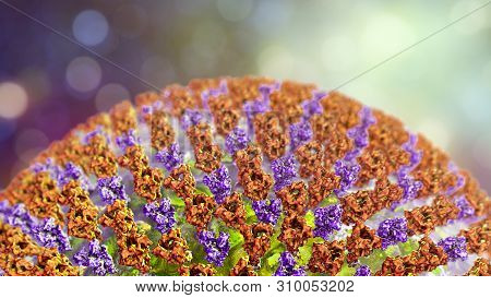 Measles Virus, Closeup View. 3d Illustration Showing Structure Of Measles Virus With Surface Glycopr