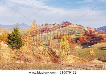 Calm Autumn Morning In The Mountains. Beautiful Rural Area With Fields And Orchards On Hills. Tradit