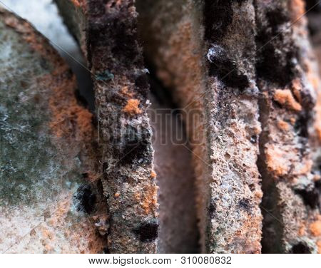 Mouldy (moldy) Bread. Bread With Mold (must, Mustiness, Mildew). Close-up.