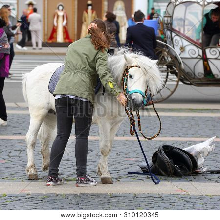 The Girl Next To The White Pony In Windy Weather, The Dvortsovaia Ploshchad  Saint Petersburg Russia