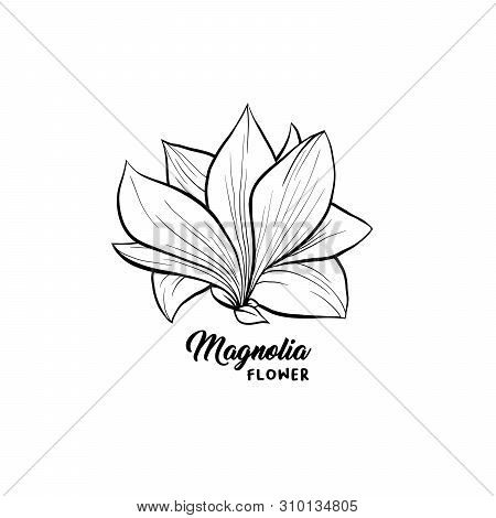 Magnolia Flower In Blossom, Beautiful Home Decor And Interior Design, Isolated Illustration Vector. 