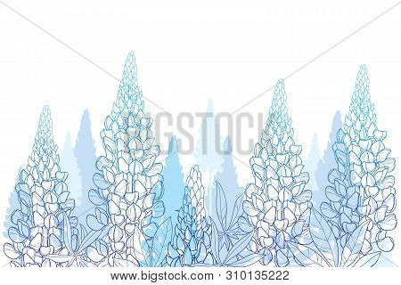 Vector Field Of Outline Lupin Or Lupine Or Texas Bluebonnet Flower Bunch, Bud And Ornate Leaves In P