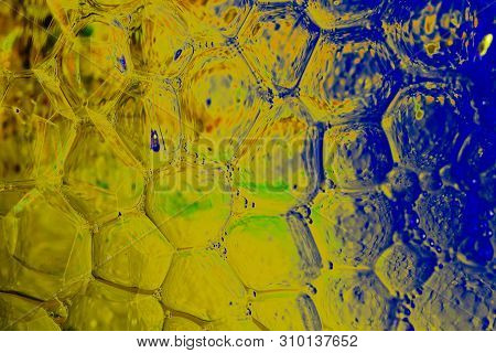 Oil Bubbles Inside Water Base Form Patterns
