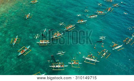 Place To Snorkel And Scuba Drive And Whale Shark Watching, Top View, Oslob, Philippines. Clean Blue 