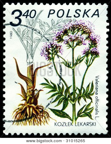 Vintage Briefmarke. Valeriana.