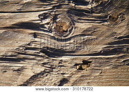 Old Rich Wood Texture Background With Knots. Free Space For Gesign And Text.