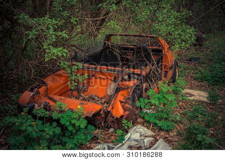 Abandoned Ruined Red Car Standing Amidst Bushes