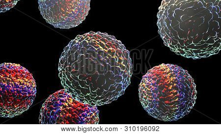 Zika Viruses, The Causative Agent Of Zika Fever, Transmitted By Mosquito Bite And Causes Microcephal