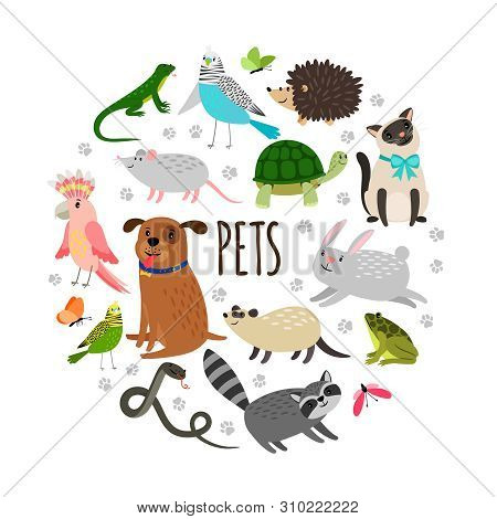 Popular Pets Round Banner Design. Vector Cartoon Animals Isolated On White Background. Illustration 