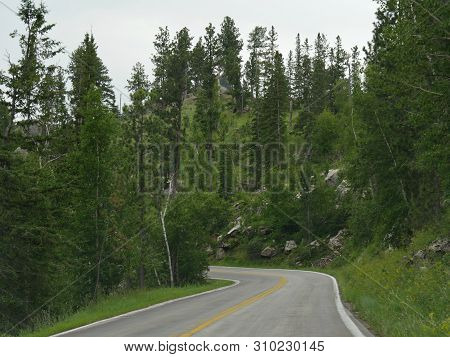 Part Of The 14-mile Scenic Drive Along Needles Highway, One Of The Best Attractions In South Dakota.