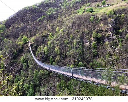 Tibetan Bridge Carasc Or Ponte Tibetano Valle Di Sementina Or Tibetische Brucke Carasc, Monte Carass