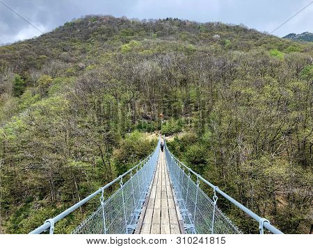 Tibetan Bridge Carasc Or Ponte Tibetano Valle Di Sementina Or Tibetische Brucke Carasc, Monte Carass