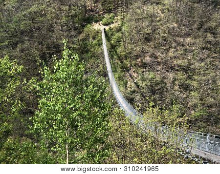 Tibetan Bridge Carasc Or Ponte Tibetano Valle Di Sementina Or Tibetische Brucke Carasc, Monte Carass
