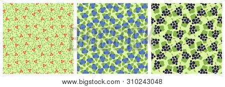 Seamless Pattern Set. Vector Berries. Mountain Ash, Viburnum, Blueberry And Black Currant. Natural F
