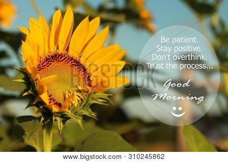 Good Morning Greetings. Morning Inspirational Motivational Quote - Be Patient. Stay Positive. Do Not