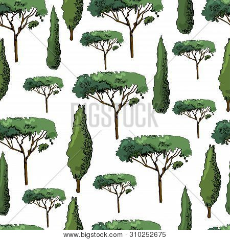 Seamless Pattern With Italian Trees Cypresses And Pines. Ink And Colored Elements Isolated On White 