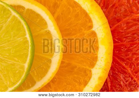 Four Slices Of Citrus Fruits, Closeup Background.