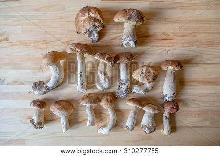 Rustic Food Series Consisting Of Variety Of Food Layered Out On An Old Wood Background.