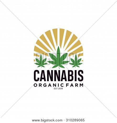 Ganja Farm / Cannabis Leaf Logo - Vector Stock