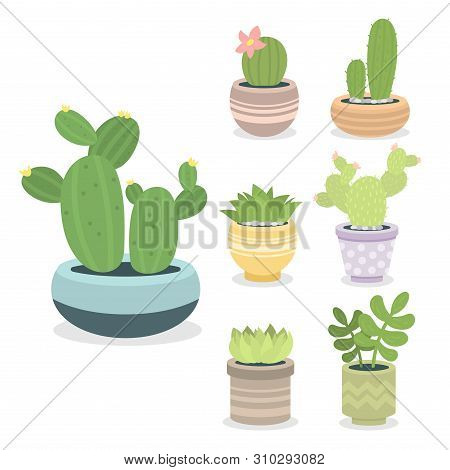 Cactus Green Plant Cactaceous Home Nature Cacti Illustration Of Tree With Flower