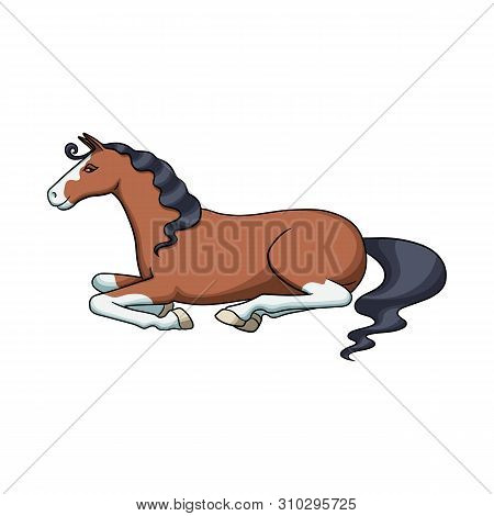 Isolated Object Of Steed And Brown Sign. Collection Of Steed And Brown Stock Symbol For Web.