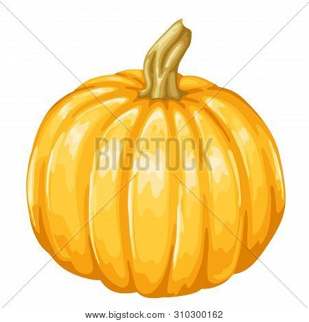 Illustrastion Of Autumn Ripe Pumpkin. Harvest Icon.