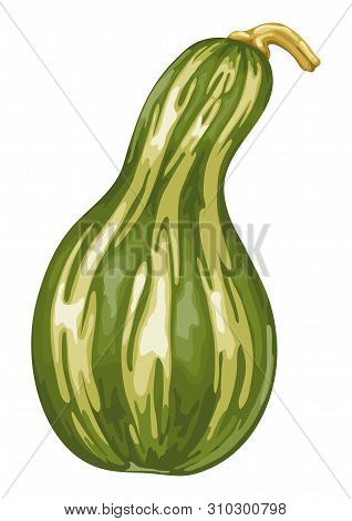 Illustrastion Of Autumn Ripe Pumpkin. Harvest Icon.