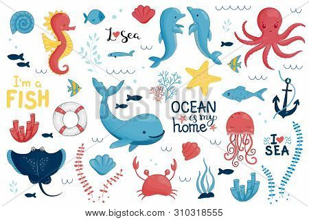 Vector Marine Set. Hand-drawn Illustration With Dolphins, Crab, Whale, Fur Seal, Stingray, Jellyfish