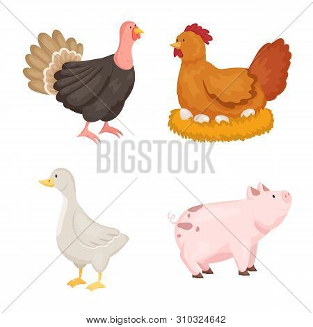 Vector Illustration Of Farm And Food Icon. Set Of Farm And Countryside Stock Symbol For Web.