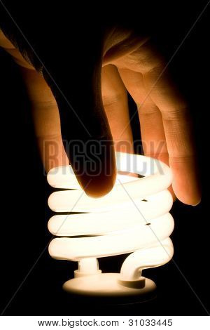 Mano avvitamento lampadina fluorescente efficiente energia