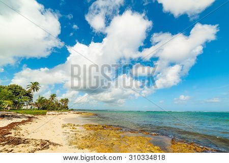 Cloudy Sky Over Autre Bord Beach In Guadeloupe, French West Indies. Lesser Antilles, Caribbean Sea