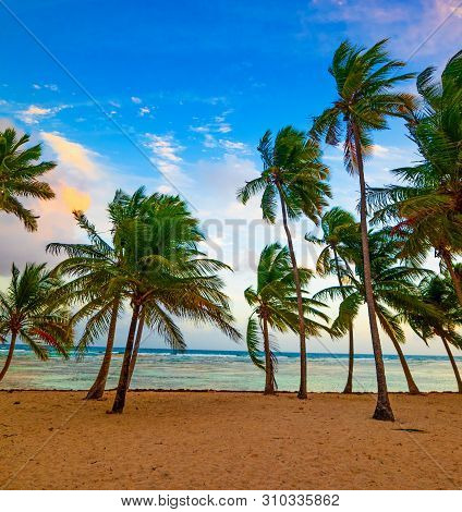 Sunset In Bois Jolan Beach In Guadeloupe, French West Indies. Lesser Antilles, Caribbean Sea
