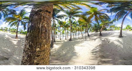 360 Degrees Panorama Of Bois Jolan Beach In Guadeloupe, French West Indies. Lesser Antilles, Caribbe