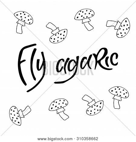 Fly Agaric Mushrooms Isolated On White Background, Black Ink, Illustration, Hand Drawing.