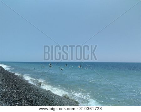 a flock of albatrosses soared over the sea, the sea waves with small waves of turquoise water, the sun's glare sparkle, a group of white seagulls fly over the ocean, spreading their wings, wingspan wide, birds white with a large powerful beak, azure sky c