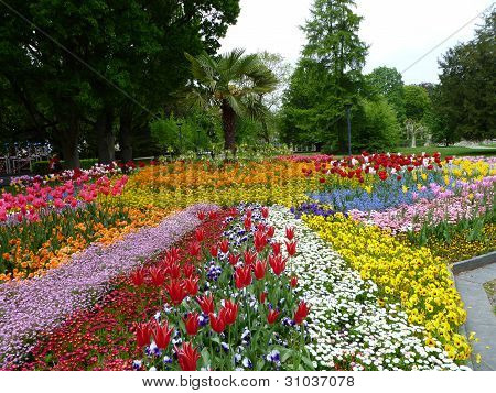 Flower Display