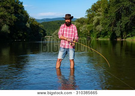 Man Fisherman Catches A Fish. Fly Fishing. Brown Trout Being Caught In Fishing Net. American Angler 