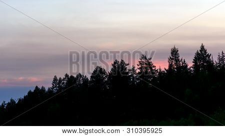 Bright Colorful Sunset At The Slope Of The Forest Trees Of The Yakut Northern Taiga.