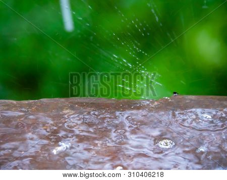 Raindrops Beating Against Brown Windowsill, Close Up View. Selective Soft Focus. Outdoor Greenth On 