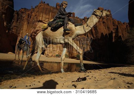 Guelta Archei With Camels And Nomads. This Gelt Is One Of The Largest In The Sahara. Chad.