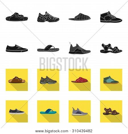Vector Design Of Shoe And Footwear Symbol. Set Of Shoe And Foot Vector Icon For Stock.
