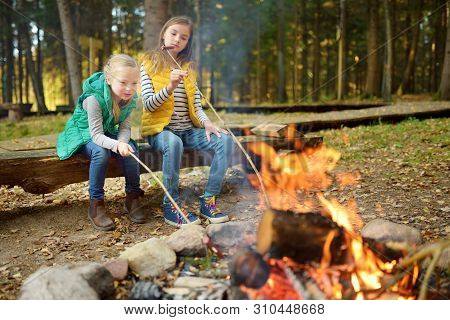 Cute Young Sisters Roasting Hotdogs On Sticks At Bonfire. Children Having Fun At Camp Fire. Camping