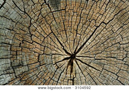2500Wood03J
