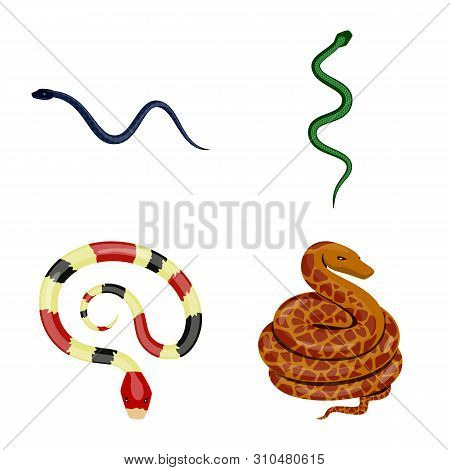 Vector Design Of Poison And Evil Logo. Collection Of Poison And Bite Stock Vector Illustration.