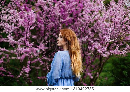 Beautiful Smilling Redhead Woman In Spring Time Blossom Cherrytrees Garden. Perfect Time For A Walk.