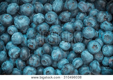 Background From Freshly Picked Blueberries And Full Frame Filled With Fruits