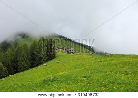 Foggy Day In Obermutten, Canton Of Grisons, Switzerland.