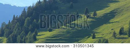 Trees And Hills In Obermutten Canton Of Grisons, Switzerland.