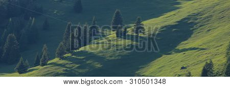 Green Landscape In The Canton Of Grisons, Switzerland. Forest In Obermutten.